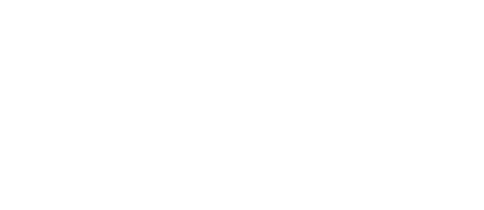 IDG Logo