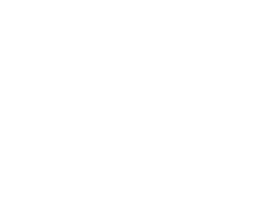IDG Logo